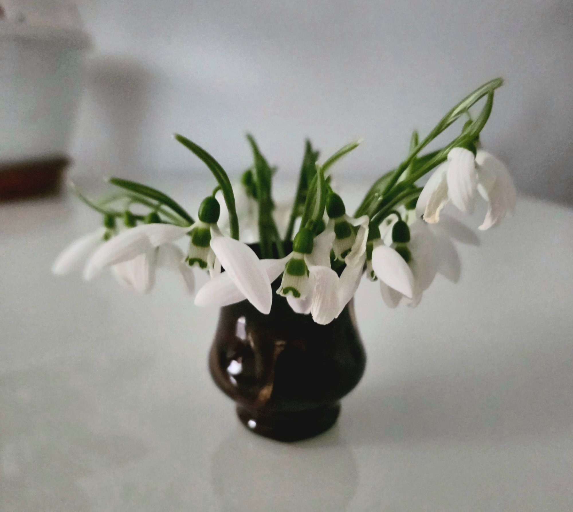 Ghiocei de primăvară — Mirela Mareș